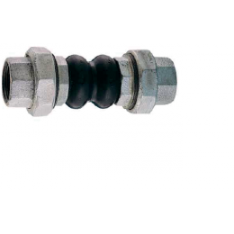 283005